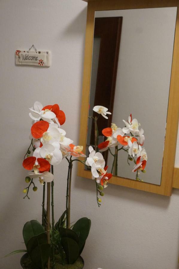 Apartment Jadranka プーラ エクステリア 写真